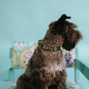 Hunter Velvet hand embroidered on terrier