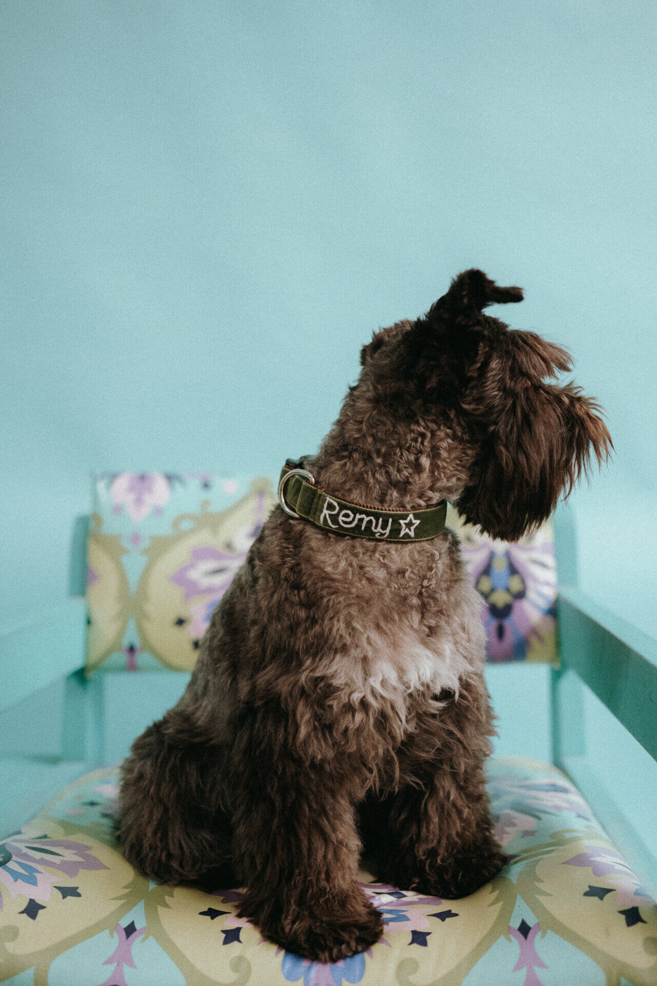 Hunter Velvet hand embroidered on terrier