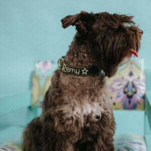 Hunter Velvet hand embroidered on terrier