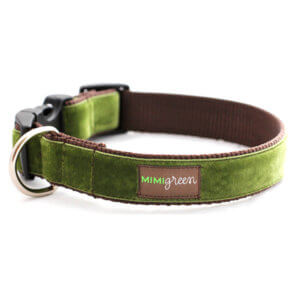 green velvet dog collar