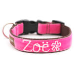 'Zoe' Personalized Dog Collar