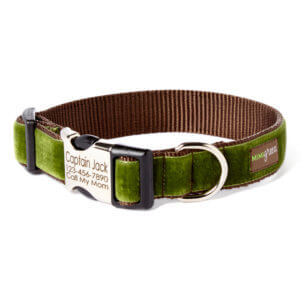 green velvet engraved dog collar