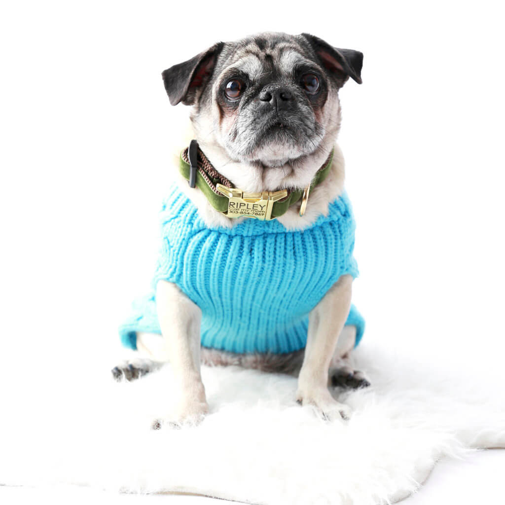 pug dog collars