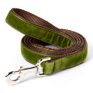 green velvet dog leash