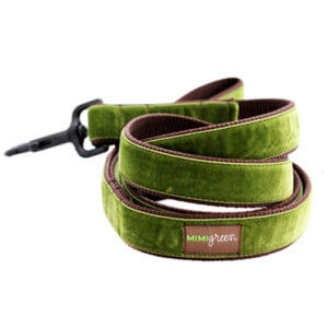 green velvet dog leash