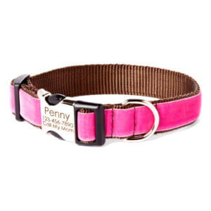 pink vevlet dog collar engraved Zoe