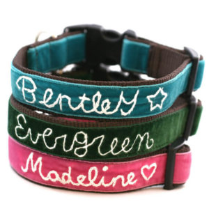 Hand embroidered velvet dog collar