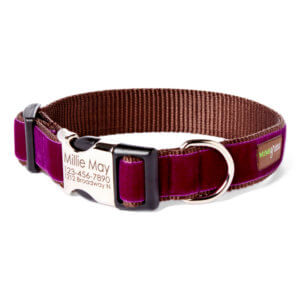 purple velvet engraved dog collar