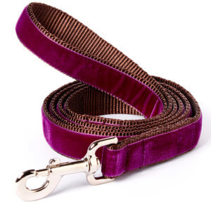 olive purple velvet dog leash