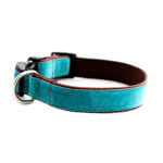 Blue Velvet Dog Collar 'Zack'