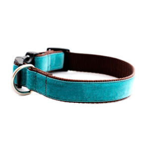 velvet cute collars for boy dogs – Loyal Collars