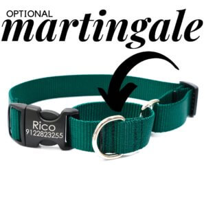 hunter green martingale dog collar