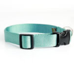 Teal Nylon Webbing Collar