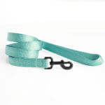 Teal Webbing Leash