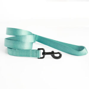 teal nylon dog leash