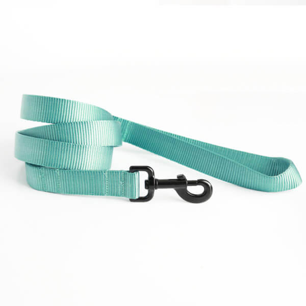 teal nylon dog leash