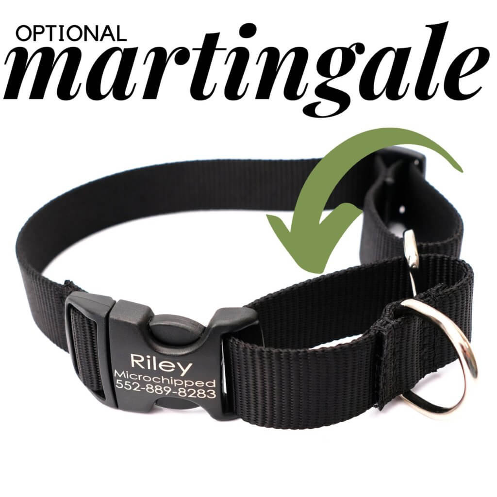 Black Nylon bing Collar