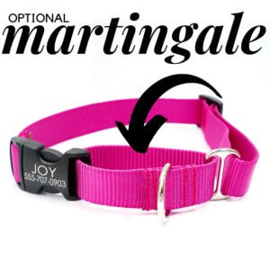 raspberry pink martingale dog collar