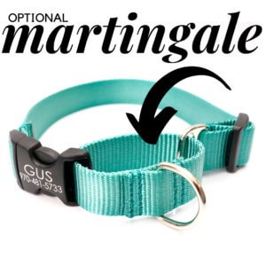 Teal Martingale dog collar