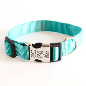 Teal engraved dog collar