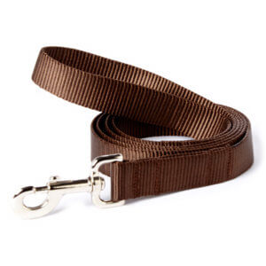 brown dog leash
