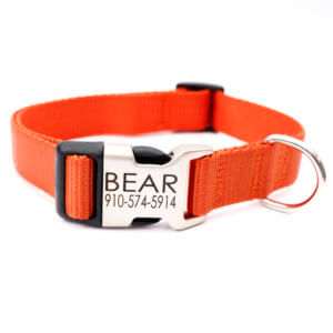 pumpkin orange engraved dog collar