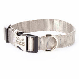slate engraved dog collar