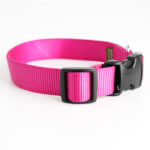 Raspberry Pink Nylon Webbing Collar