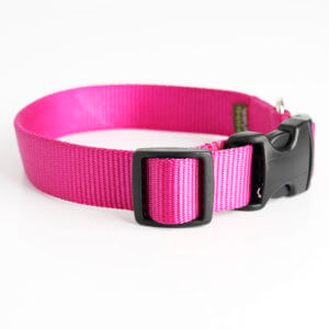 Raspberry Pink collar