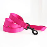 Raspberry Pink Webbing Leash