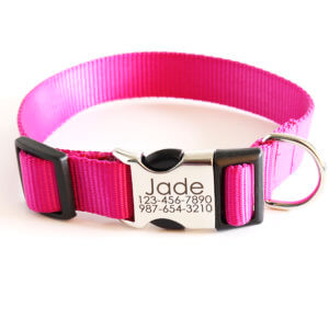 Raspberry engraved dog collar