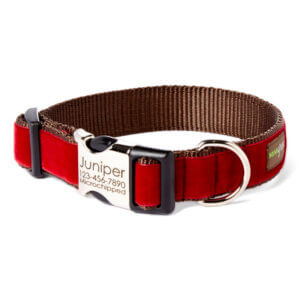 red velvet dog collar