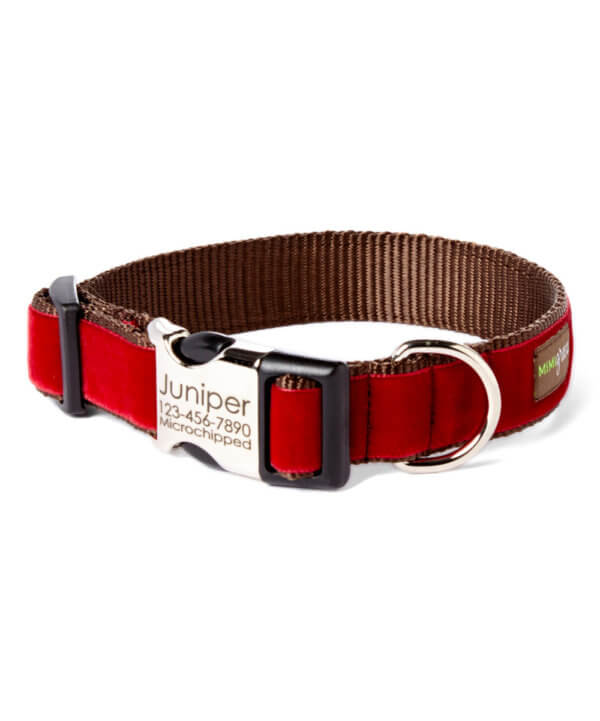 red velvet dog collar