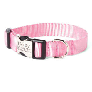 pink nylon collar