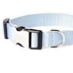 Dolphin Blue Nylon Webbing Collar