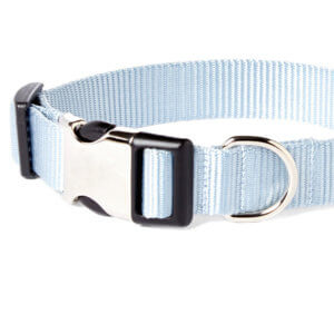 dolphin blue dog collar