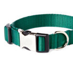 Forest Green Webbing Collar