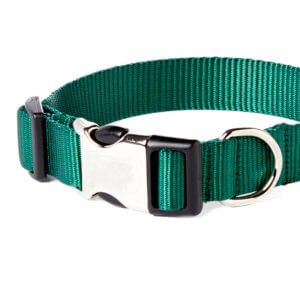 forest green dog collar