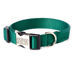 forrest green dog collar engraved