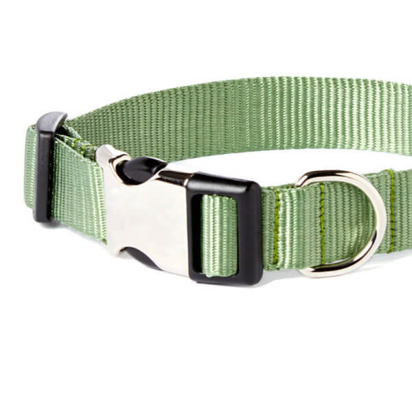 sage green dog collar