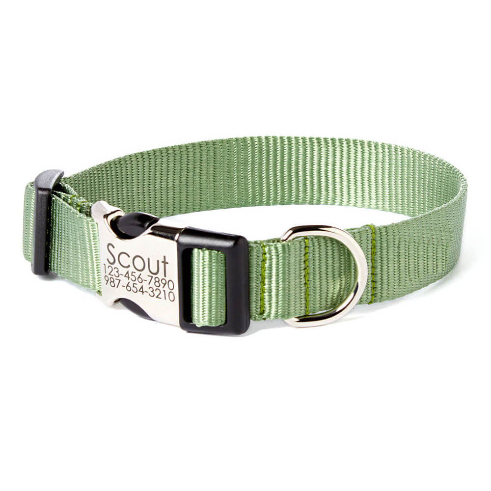 Biothane Waterproof Dog Leash - Sage Green Solid Brass