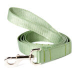 Sage Green Nylon Webbing Leash
