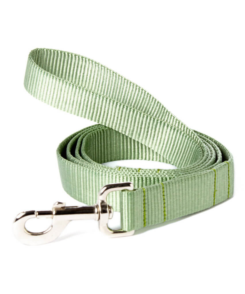 Sage Green Dog Collar USAMade Mimi Green