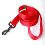 Fire Hydrant Red Webbing Leash