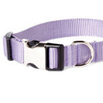 Grape Light Purple Webbing Collar