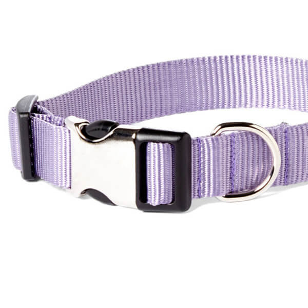 Grape Light Purple Webbing Collar
