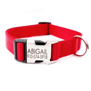 red engraved nylon dog collar