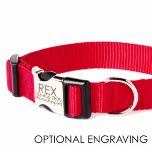 red engraved dog collar