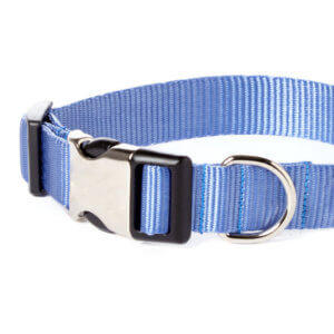 sky blue dog collar