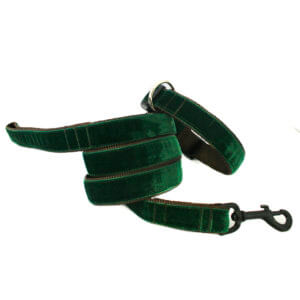 evergreen dog collar leash velvet